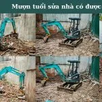 Sua Nha Co Muon Tuoi Duoc Khong